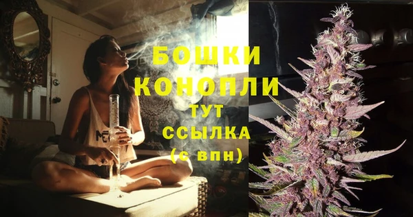 бошки Арсеньев