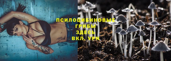 бошки Арсеньев