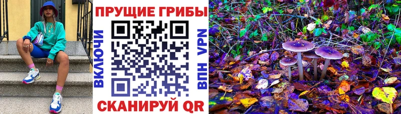 даркнет сайт  Советск  Псилоцибиновые грибы MAGIC MUSHROOMS 